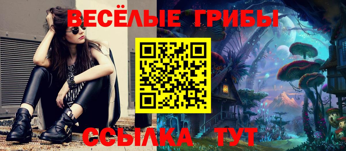 Псилоцибиновые грибы MAGIC MUSHROOMS Похвистнево