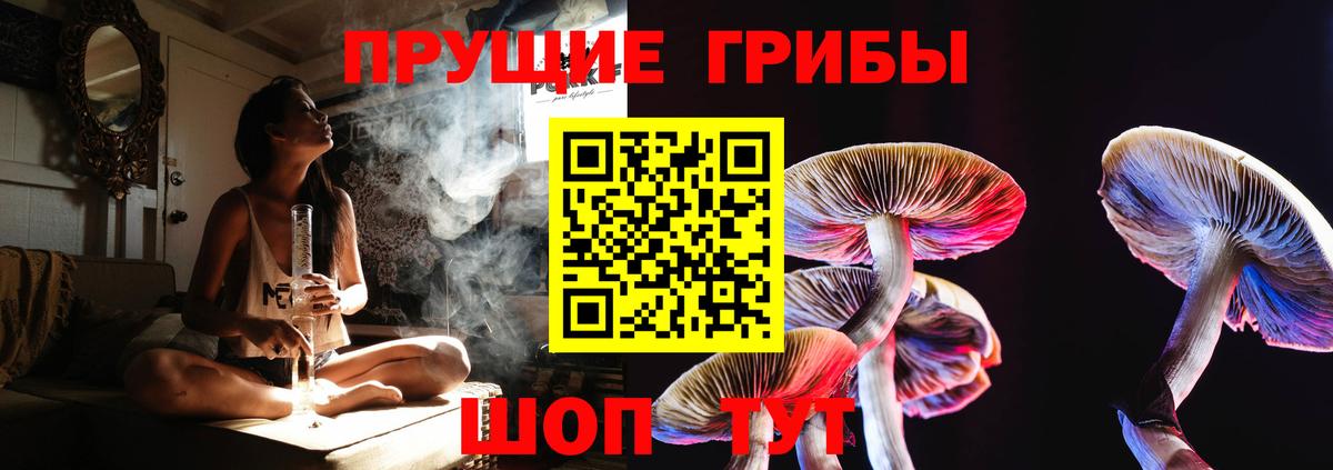 Галлюциногенные грибы мицелий  Галлюциногенные грибы мицелий  Похвистнево  Вход с VPN 